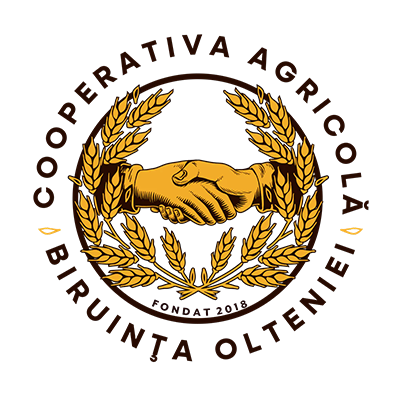 Logo Biruinta Olteniei