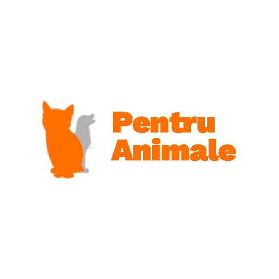 Logo Pentru Animale